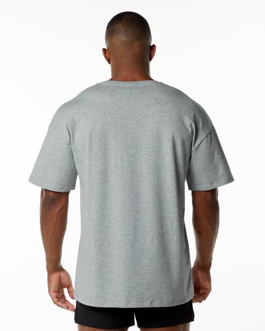 camiseta con emblema hombres Alphalete 08R8550 ropa cuero gris