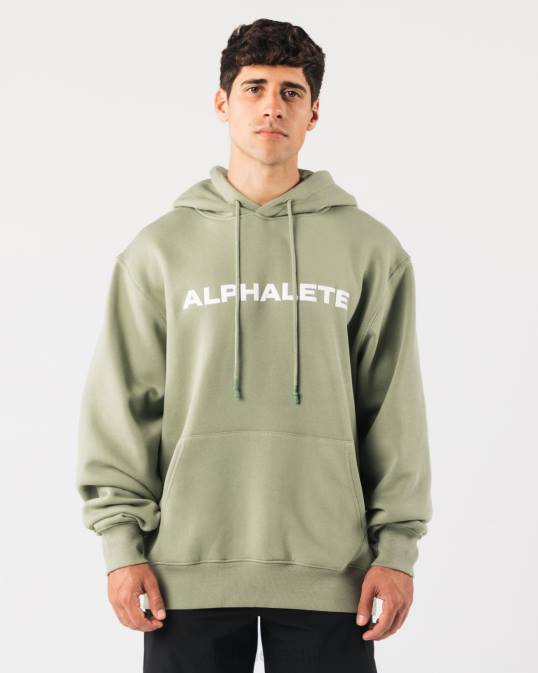 sudadera con capucha central hombres Alphalete 08R8626 ropa verde salvia