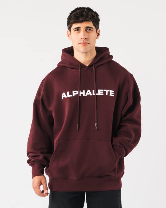 sudadera con capucha central hombres Alphalete 08R8628 ropa sangría roja