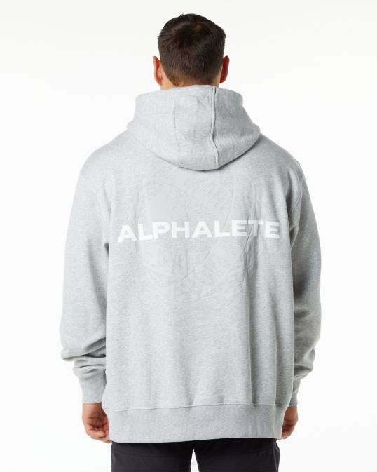 unidad sudadera con capucha hombres Alphalete 08R8646 ropa cuero gris