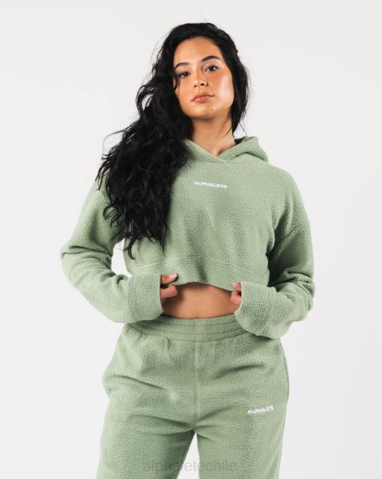 sudadera con capucha king crop mujer Alphalete 08R8275 ropa verde salvia